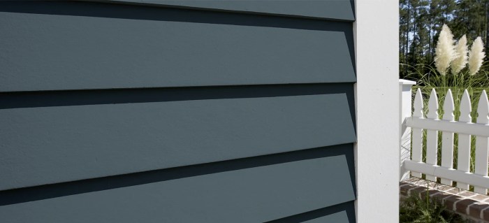 Fiber cement or vinyl siding